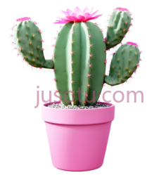 仙人掌,花盆,亮粉色PNG