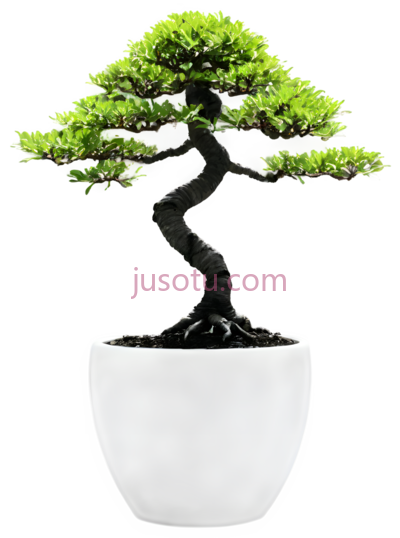 小盆景,花瓶, PNG
