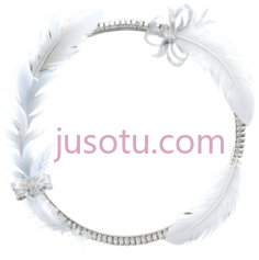 羽毛花环,白色PNG