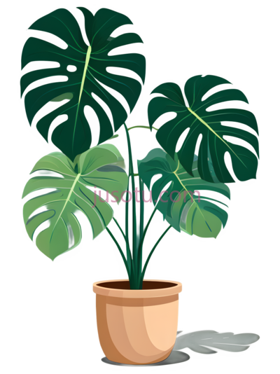 绿萝,花盆, PNG
