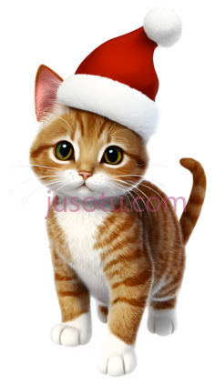 小猫,卡通,橙色,白色PNG