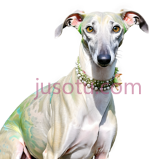 狗,站立,白色PNG