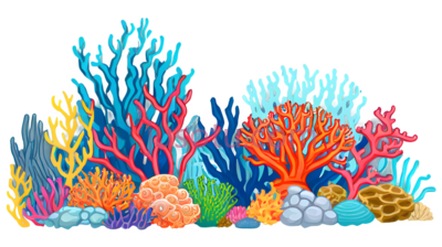珊瑚礁, PNG