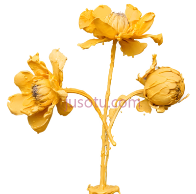 花,干花,黄色, PNG