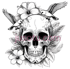 骷髅,插画,黑白PNG