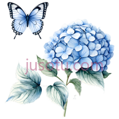 绣球花,蝴蝶,插画,蓝色, PNG