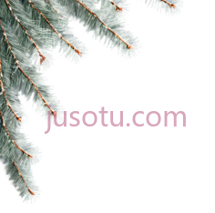 松树枝,自然,绿色PNG