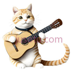 猫,卡通,橘白相间PNG