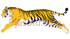 老虎,跳跃PNG