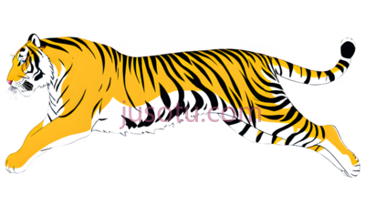 老虎,跳跃, PNG