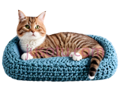 猫咪,钩针布沙发PNG