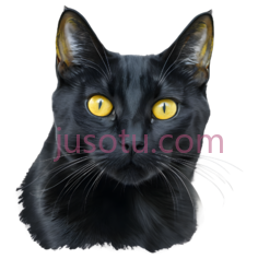 猫,插画,黑色PNG