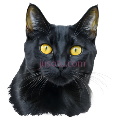 猫,插画,黑色, PNG