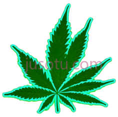 大麻叶,荧光绿轮廓,黑色背景PNG