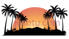景观,日出,太阳,椰树PNG
