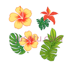 植物,贴纸PNG