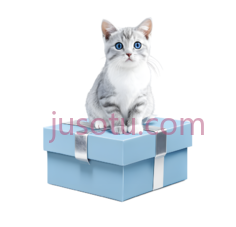 猫,卡通,白色带灰色斑纹PNG