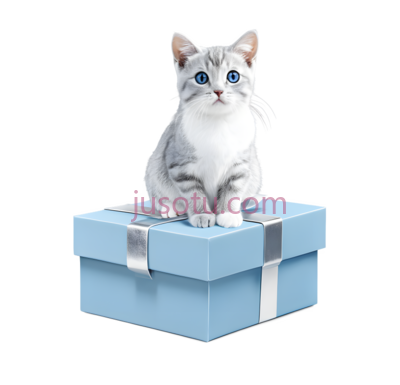 猫,卡通,白色带灰色斑纹, PNG