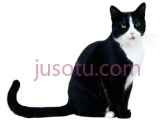 猫, PNG