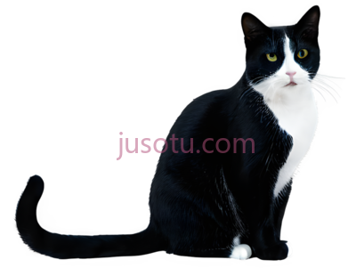 猫, PNG