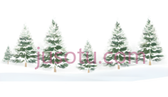 圣诞树,雪地PNG
