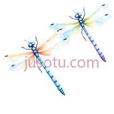 卡通,蜻蜓PNG