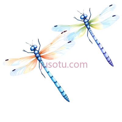 卡通,蜻蜓, PNG