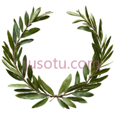月桂叶花环,绿色PNG