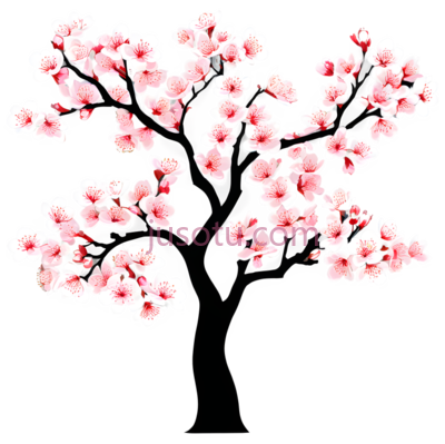 樱花,插画,粉色, PNG