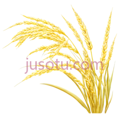 稻穗,插画,黄色PNG
