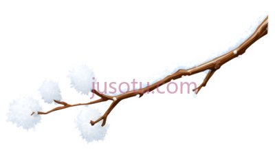 树枝,白色, PNG