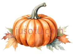 南瓜,水彩画,橙色PNG