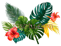 热带植物,插画,绿色,黄色,红色PNG