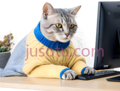 猫,穿着毛衣,灰色,黄色PNG