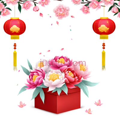 牡丹花,灯笼,中式花卉,装饰,粉色,红色, PNG