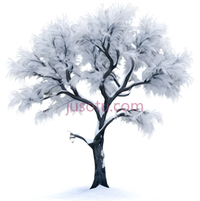 树,插画,白色, PNG