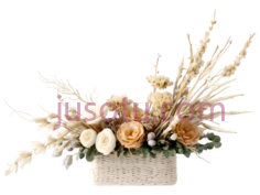 干花,花艺PNG