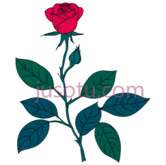 玫瑰,卡通,红色,绿色PNG