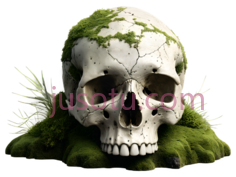 骷髅,数字,白色,绿色PNG