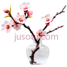 桃花,花瓶PNG