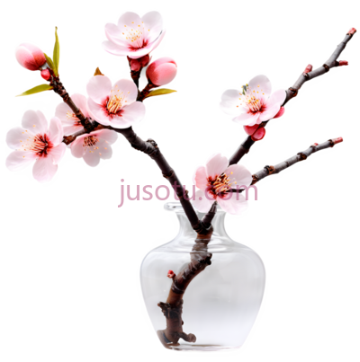 桃花,花瓶, PNG