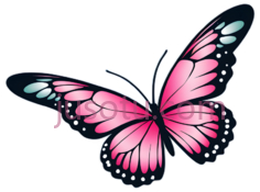 蝴蝶,卡通,粉红色PNG