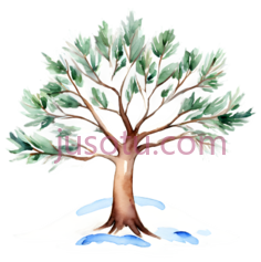 树,插画,棕色,绿色PNG