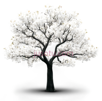 树, PNG