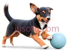 狗,卡通,黑色,棕色,白色PNG