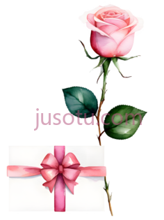 玫瑰花,插画,粉色PNG