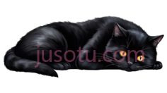 猫,插画,黑色PNG