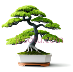 植物盆景,树木,景观, PNG