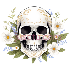 骷髅,装饰性图案,白色PNG