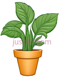 花盆, PNG